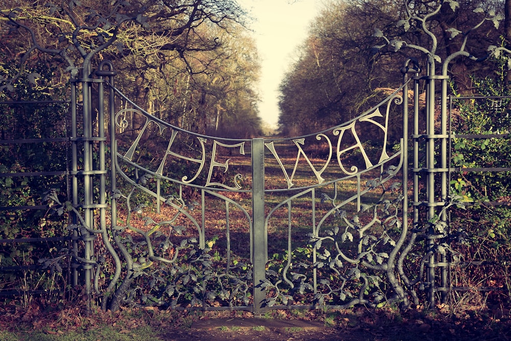 brown metal fence near green trees during daytime