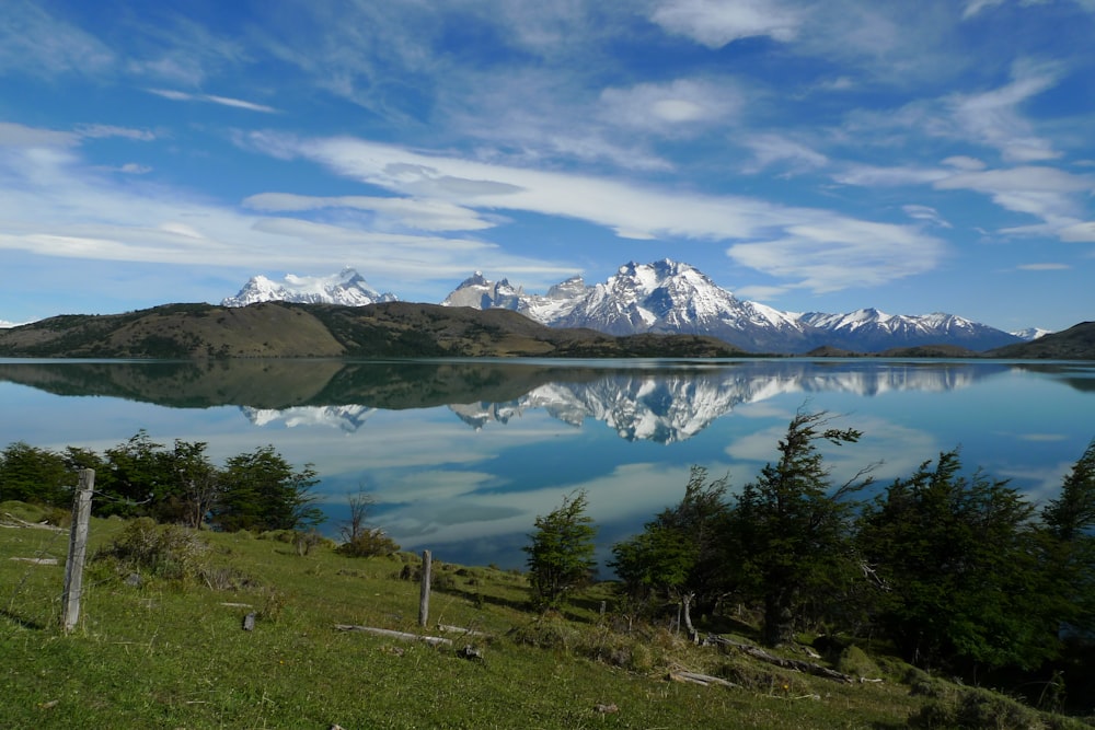 green trees near lake under blue sky during daytime