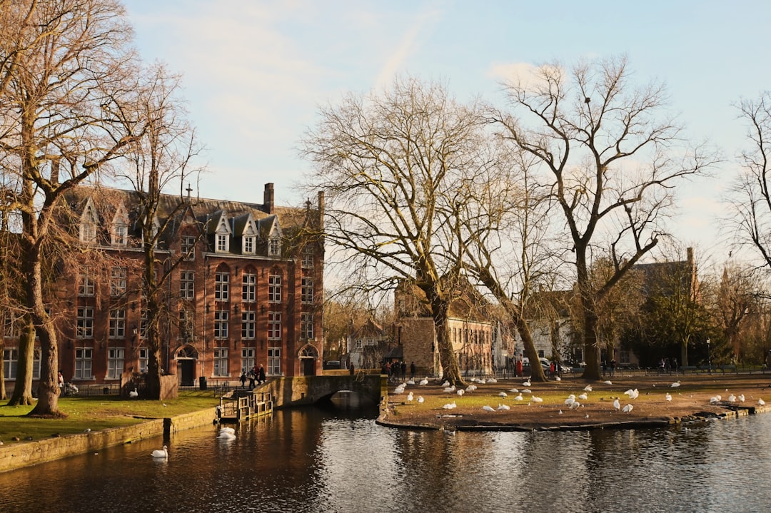 Waterway photo spot Brugge Museum aan de Stroom