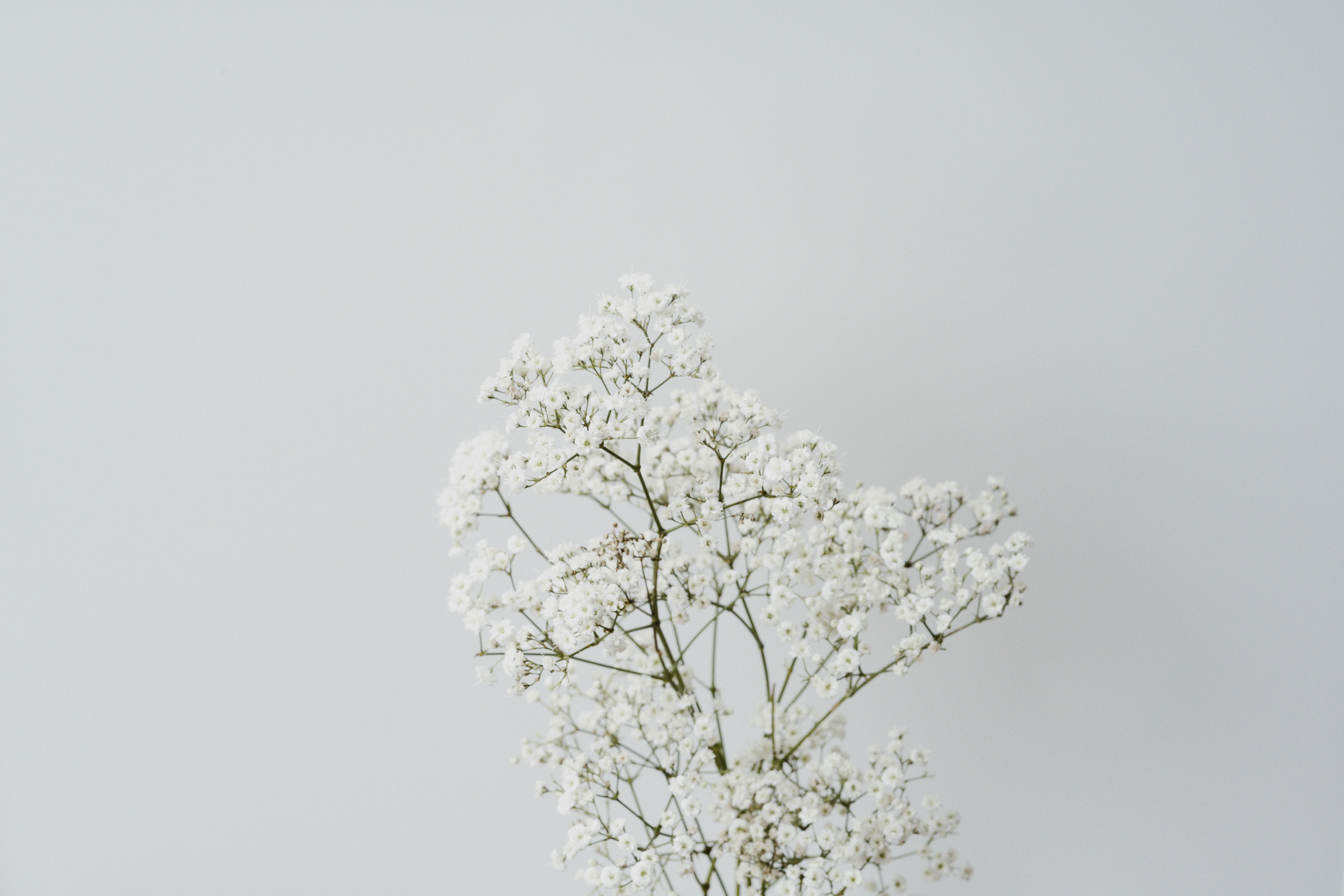 Photo by anniespratt