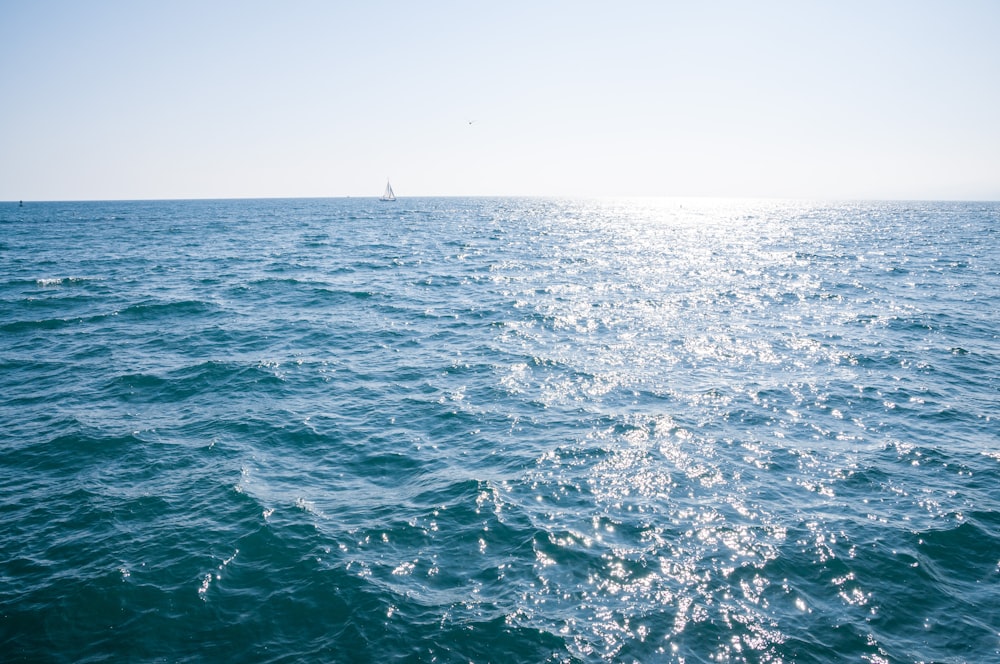 velero blanco en el mar durante el día