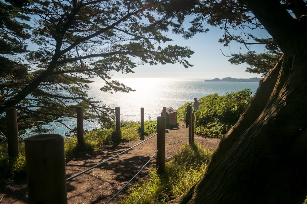 brown wooden fence near body of water during daytime