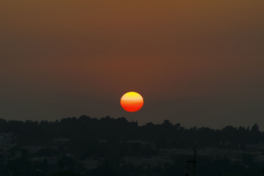 Silueta de árboles durante la puesta del sol