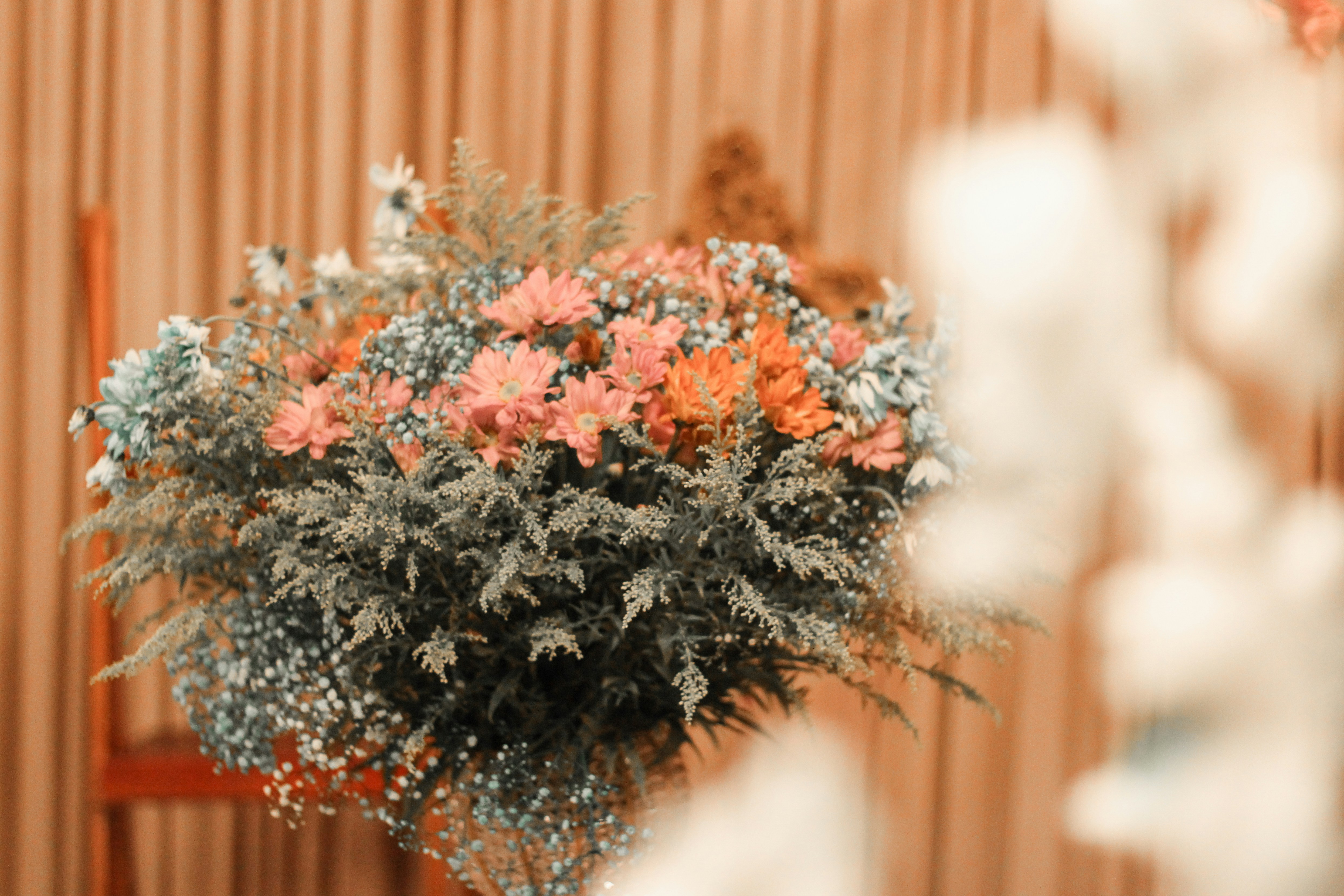 Photo by igorrodrigues