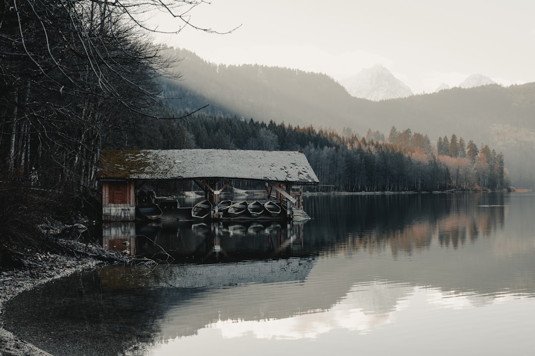 brown wooden house on lake near trees and mountains during daytime