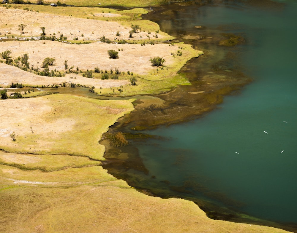 green grass field near body of water during daytime