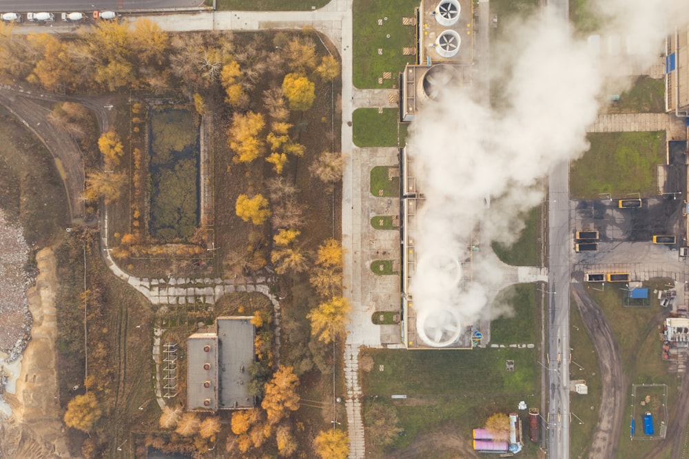 aerial view of green trees and road