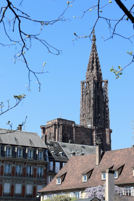 Cathédrale Notre Dame de Strasbourg things to do in Strasbourg