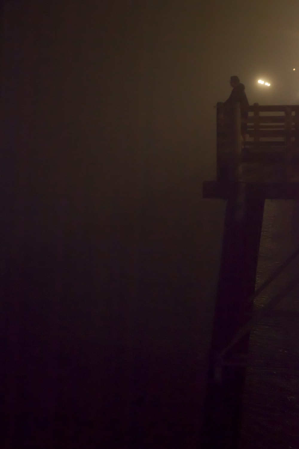 Muelle de madera marrón durante la noche