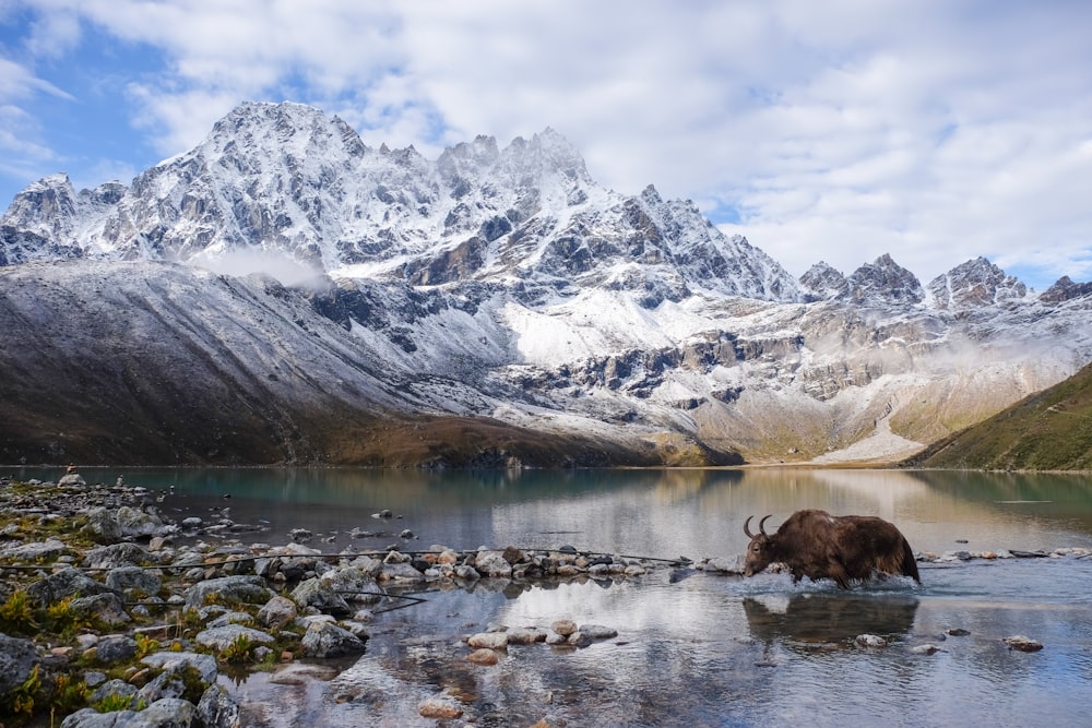 lake near snow covered mountain during daytime