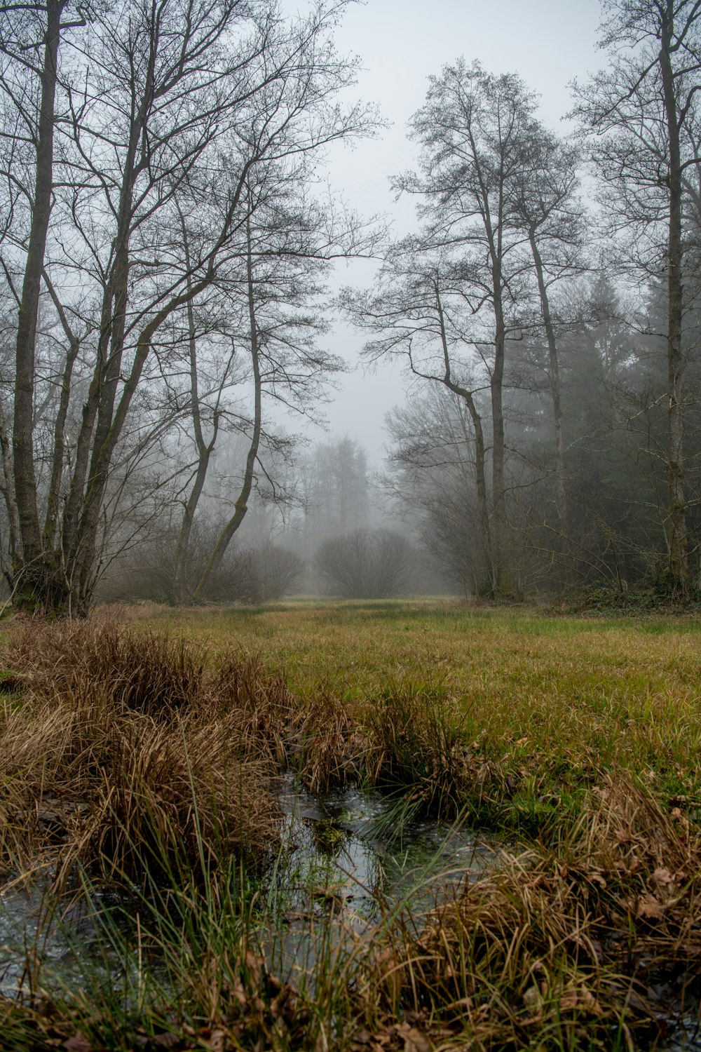 green grass field near river during daytime