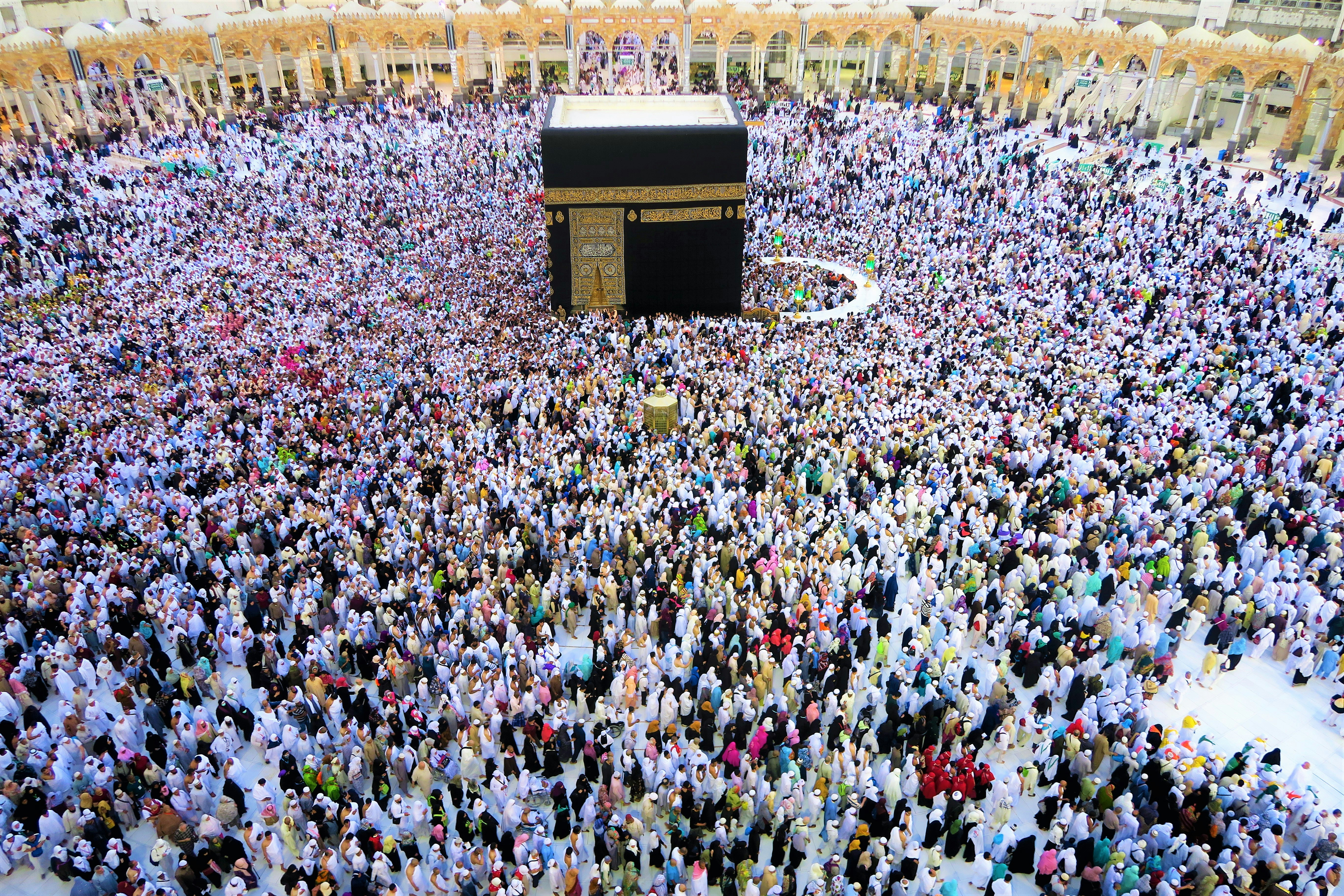 brown wooden house on white and blue flower field during daytime, Mekke Hazreti Muhammed