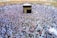 A large crowd of people gathers around the Kaaba within the courtyard of the Masjid al-Haram, engaged in a religious ritual. The people are dressed predominantly in white garments, standing in concentric circles around the central black cube structure, which is adorned with gold calligraphy.
