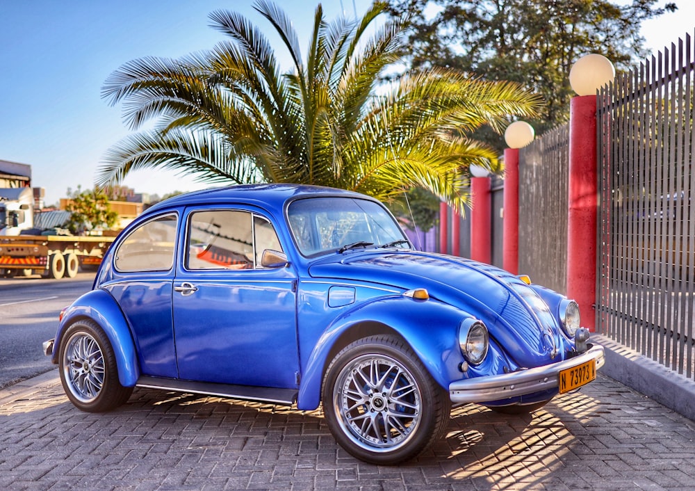 blue volkswagen beetle parked near palm tree during daytime