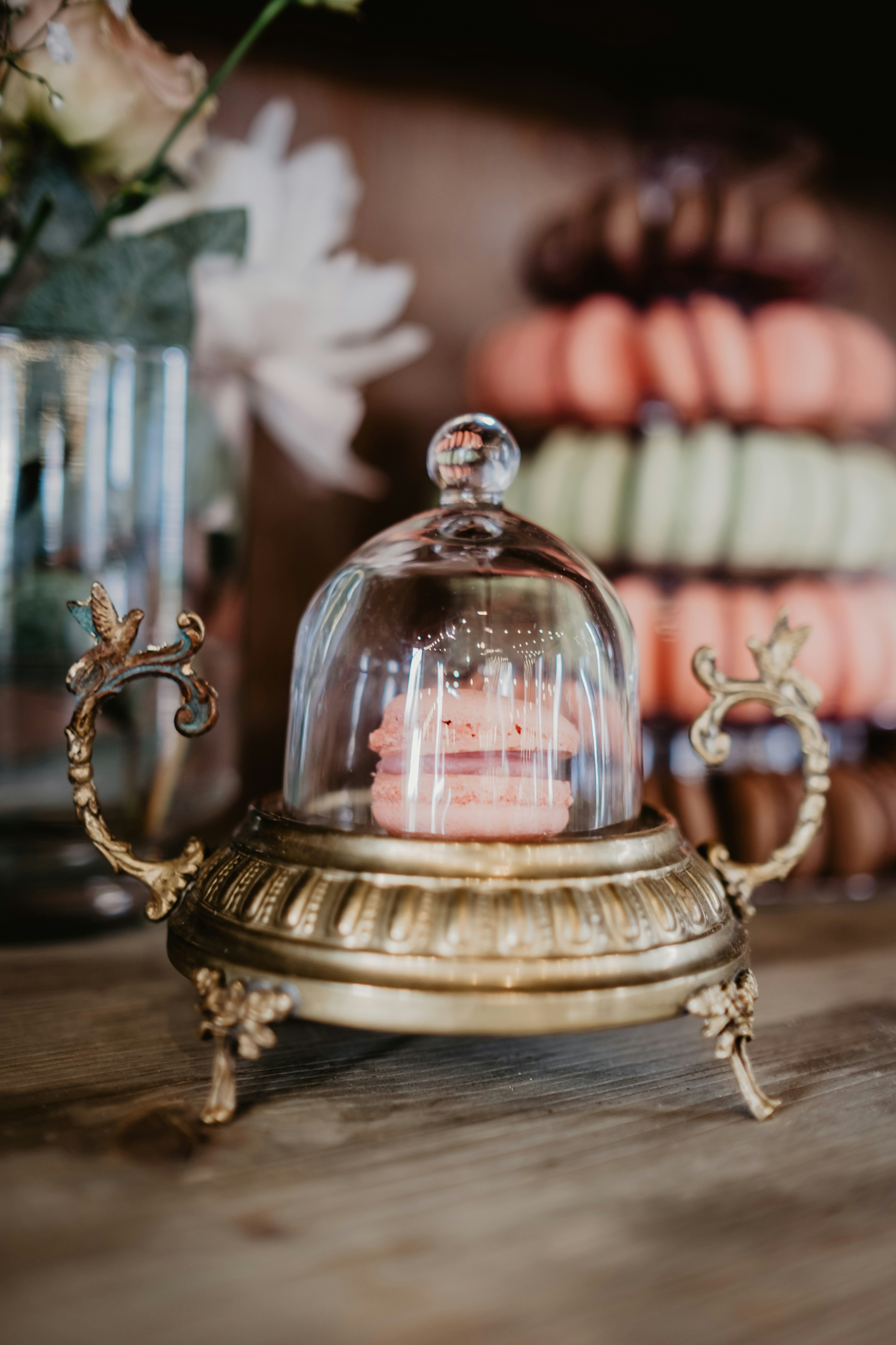 Photo by victoriapriessnitz