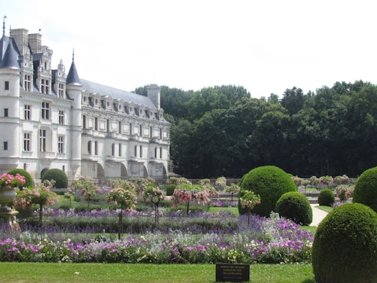 white and gray concrete building surrounded by green trees during daytime in Château de Chenonceau France