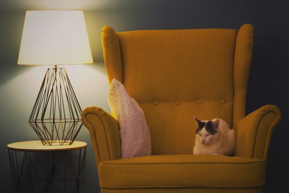 white and black cat on brown sofa