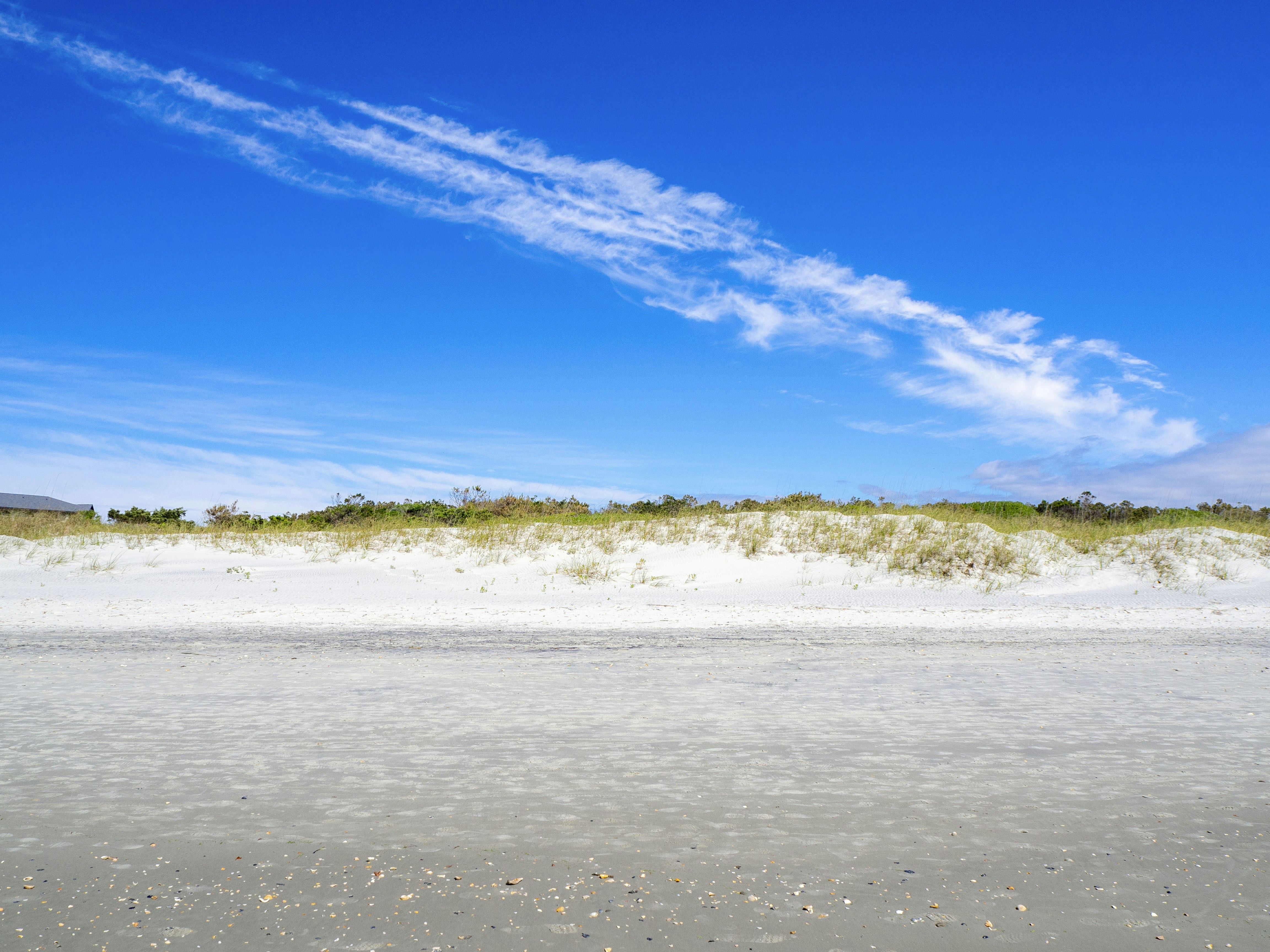 Photo by jasonforrestftw