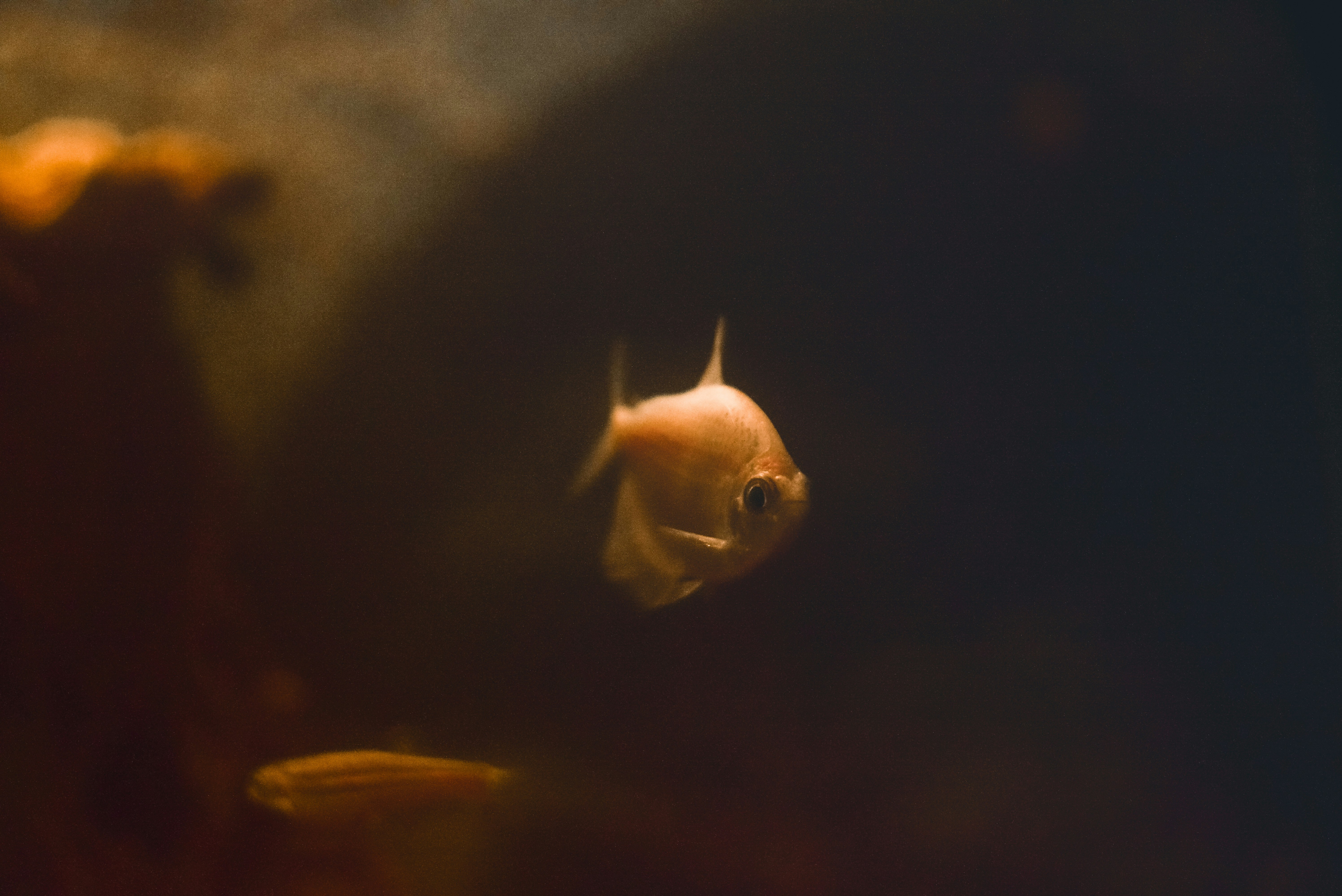 Photo by sam380967903116