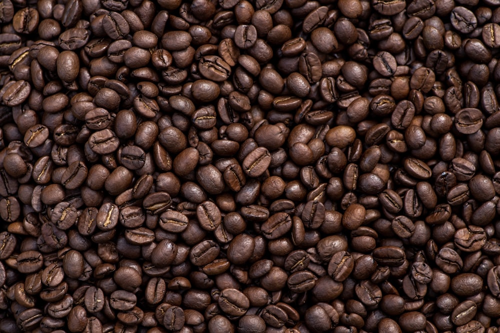 brown coffee beans on black surface