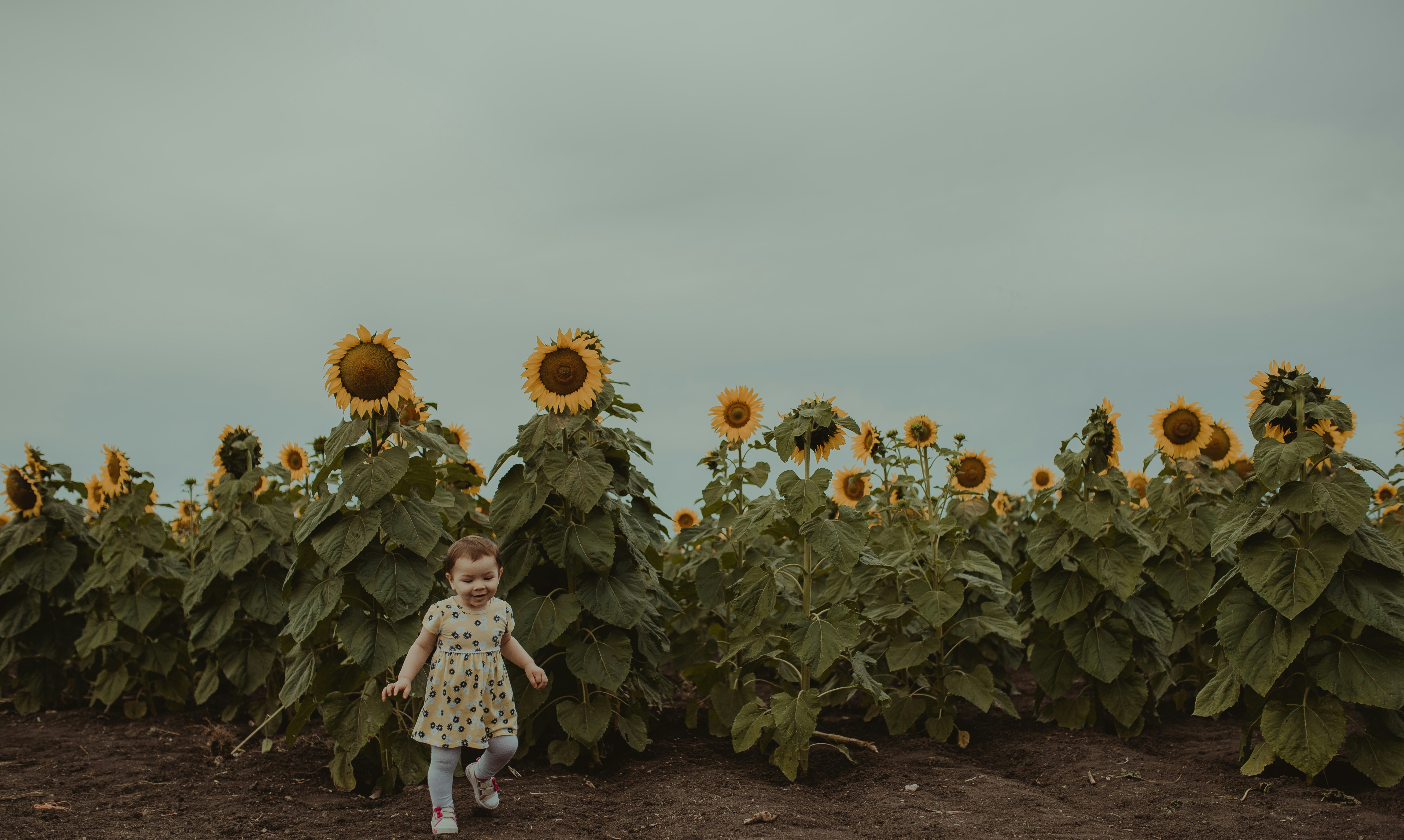 Photo by pinkmarina