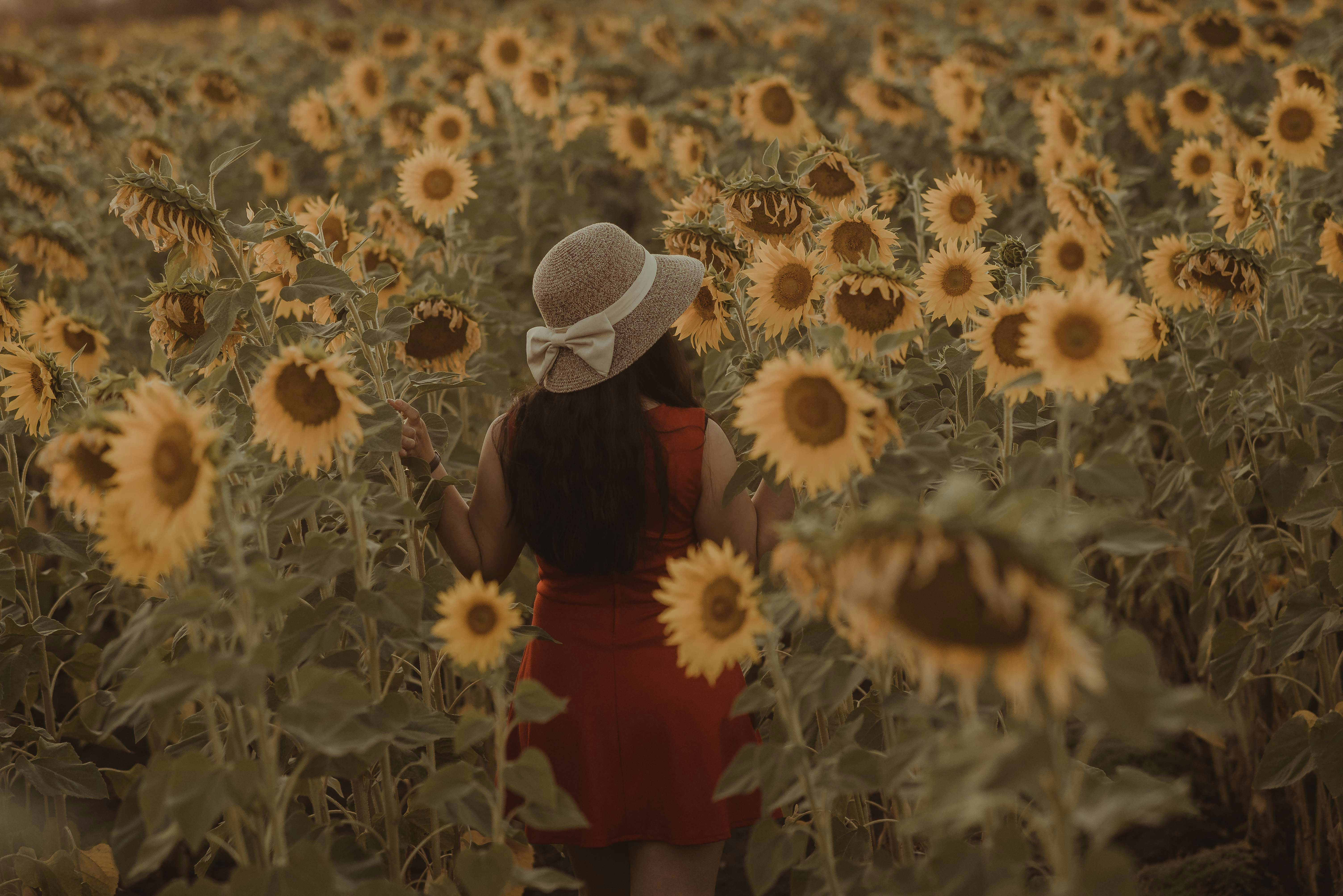 Photo by pinkmarina