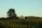 A solitary farmhouse surrounded by lush, green farmland and a large tree on the left side. The landscape is gently rolling, with rows of crops neatly lined up. The sky is clear and light blue, suggesting a peaceful, rural setting.