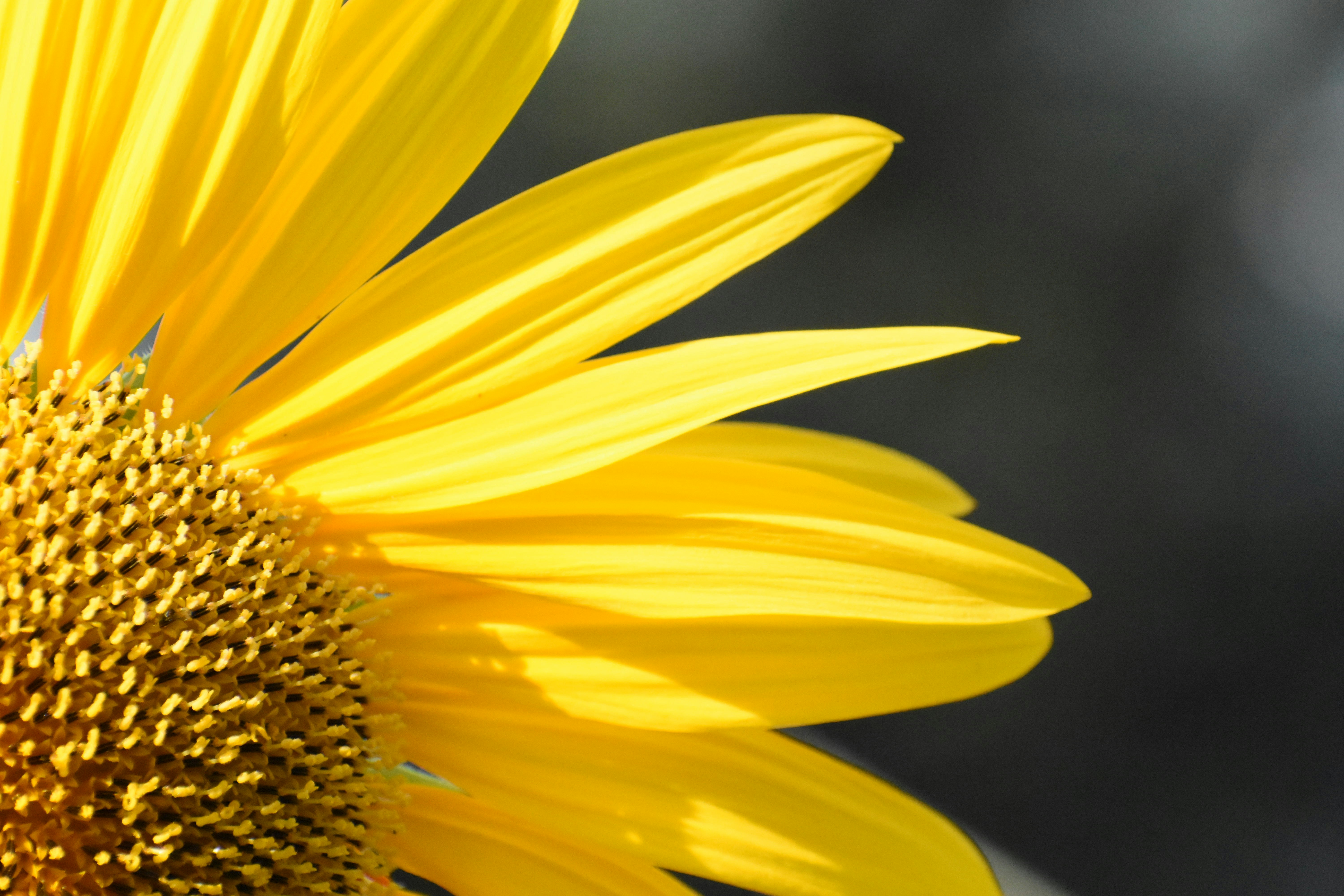 Photo by hdjohnson96