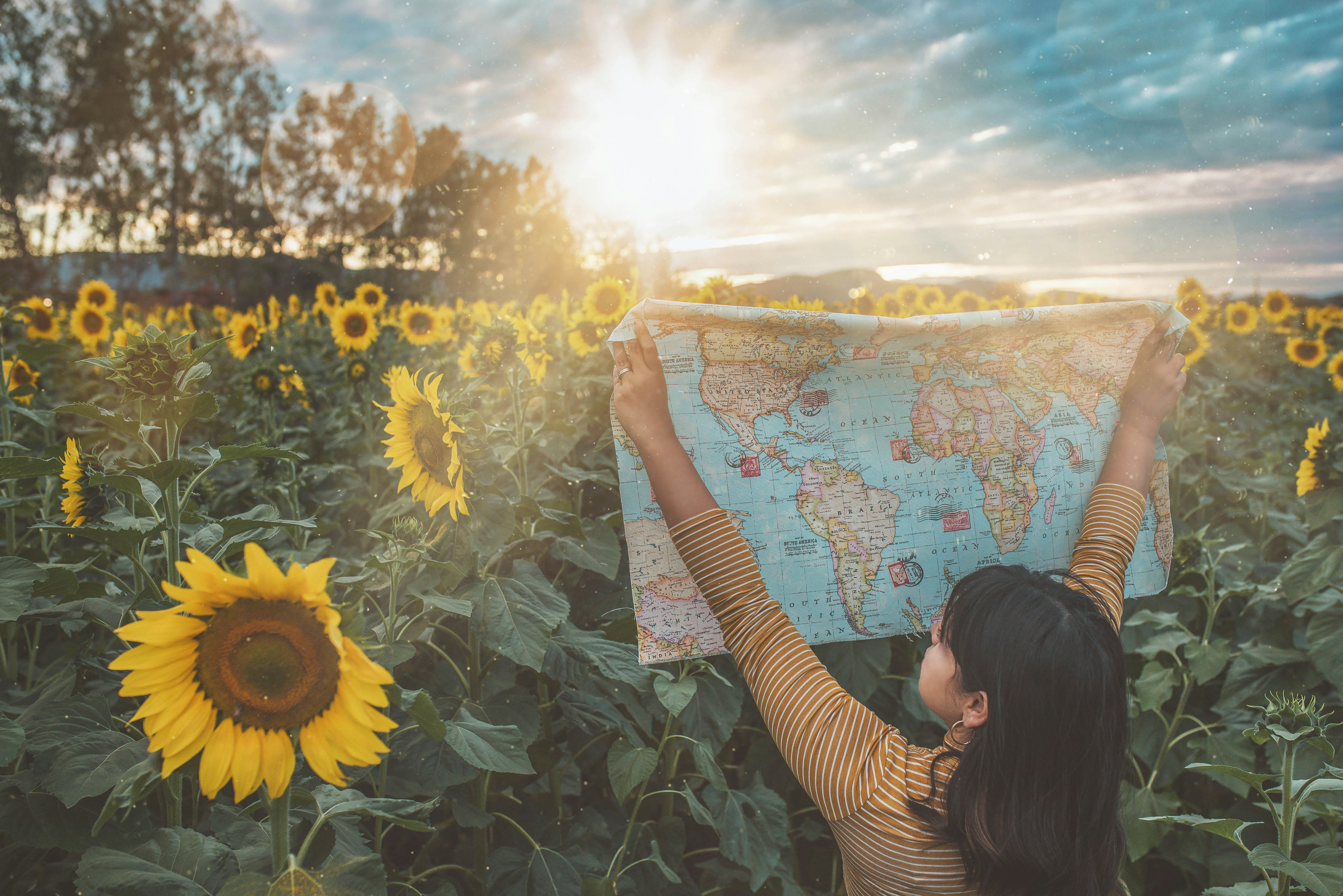 woman in brown and white stripe long sleeve shirt holding sunflower during daytime