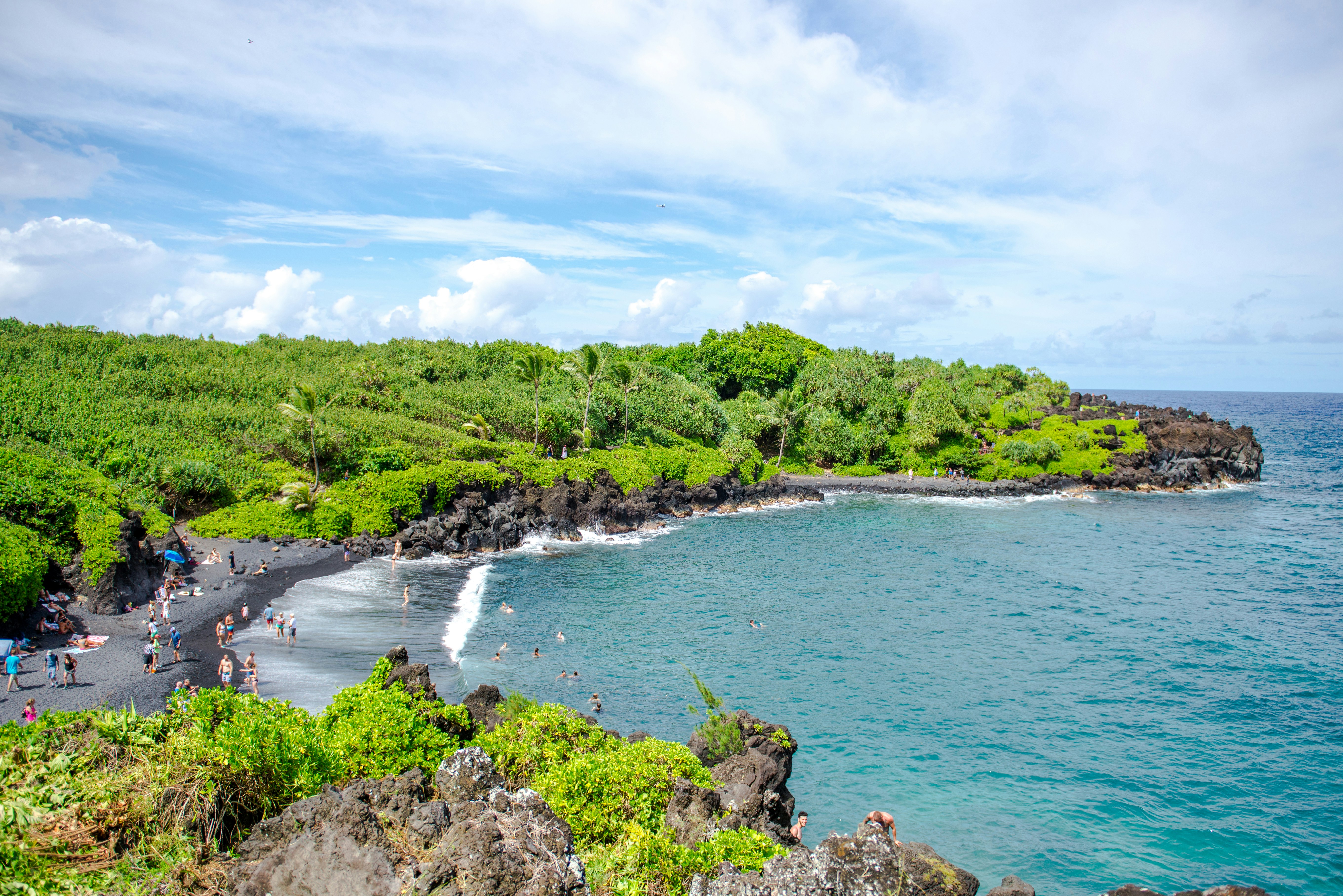 green trees on seashore during daytime, Black sand beach