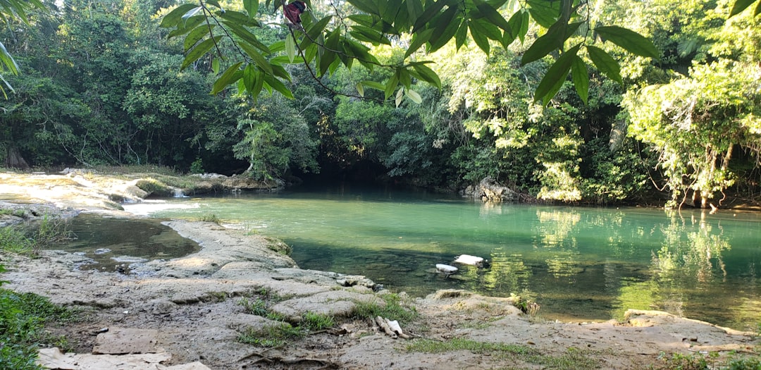 Natural landscape photo spot Toledo District Belize