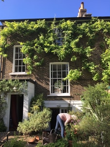 A gardener carefully tending a vibrant residential garden filled with colorful flowers and greenery.