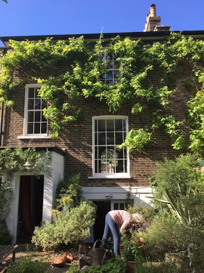 A gardener carefully tending a vibrant residential garden filled with colorful flowers and greenery.