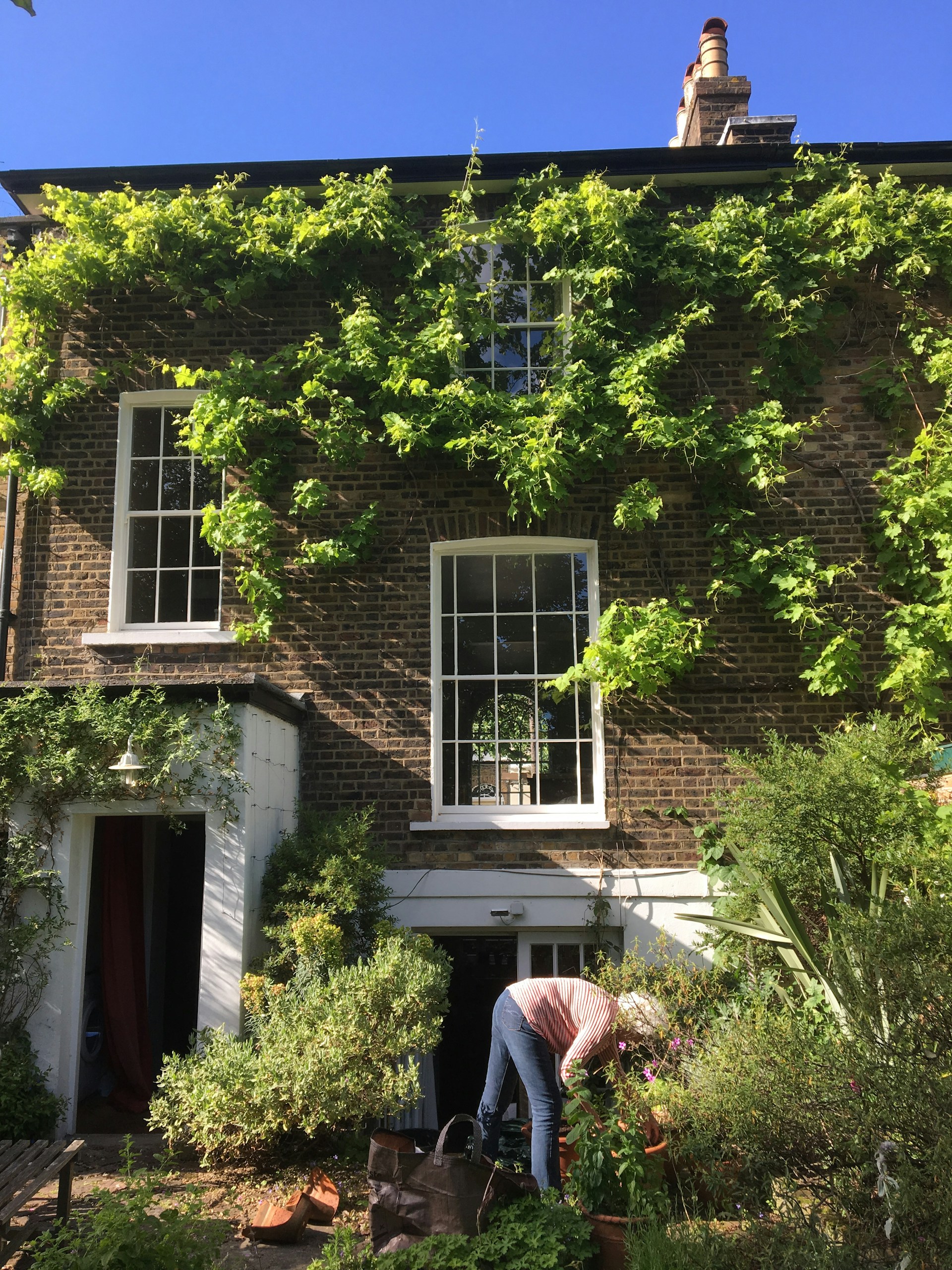 gray computer monitor