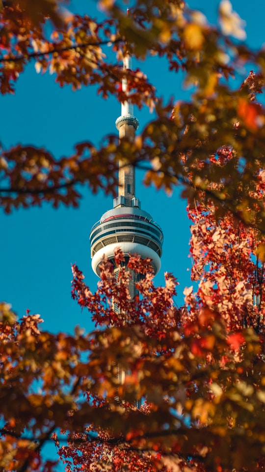 white and black tower under blue sky during daytime in Harbourfront Canada