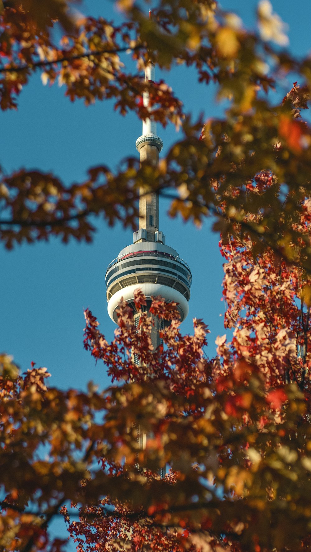 white and black tower under blue sky during daytime