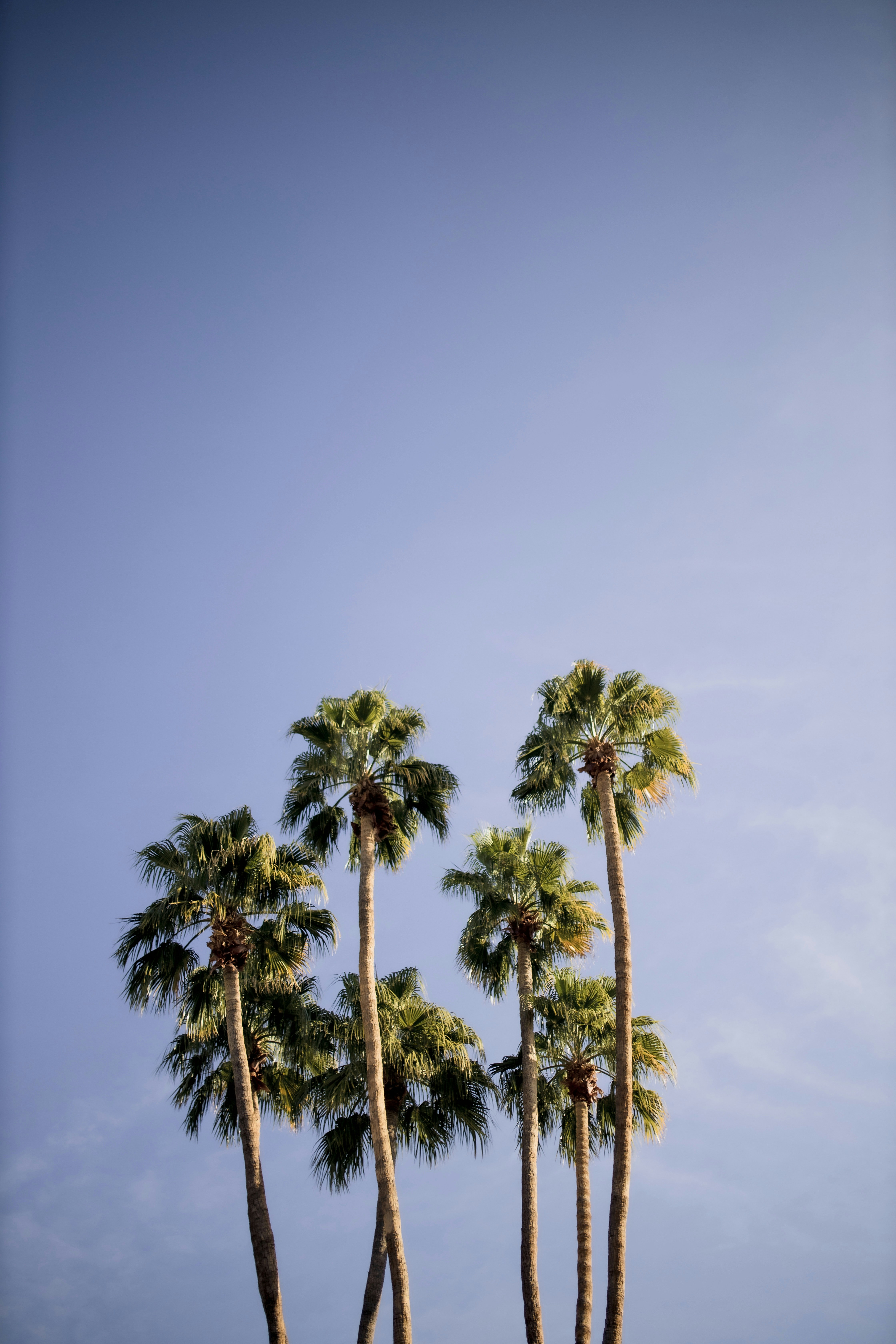 Photo by brandonleclaire