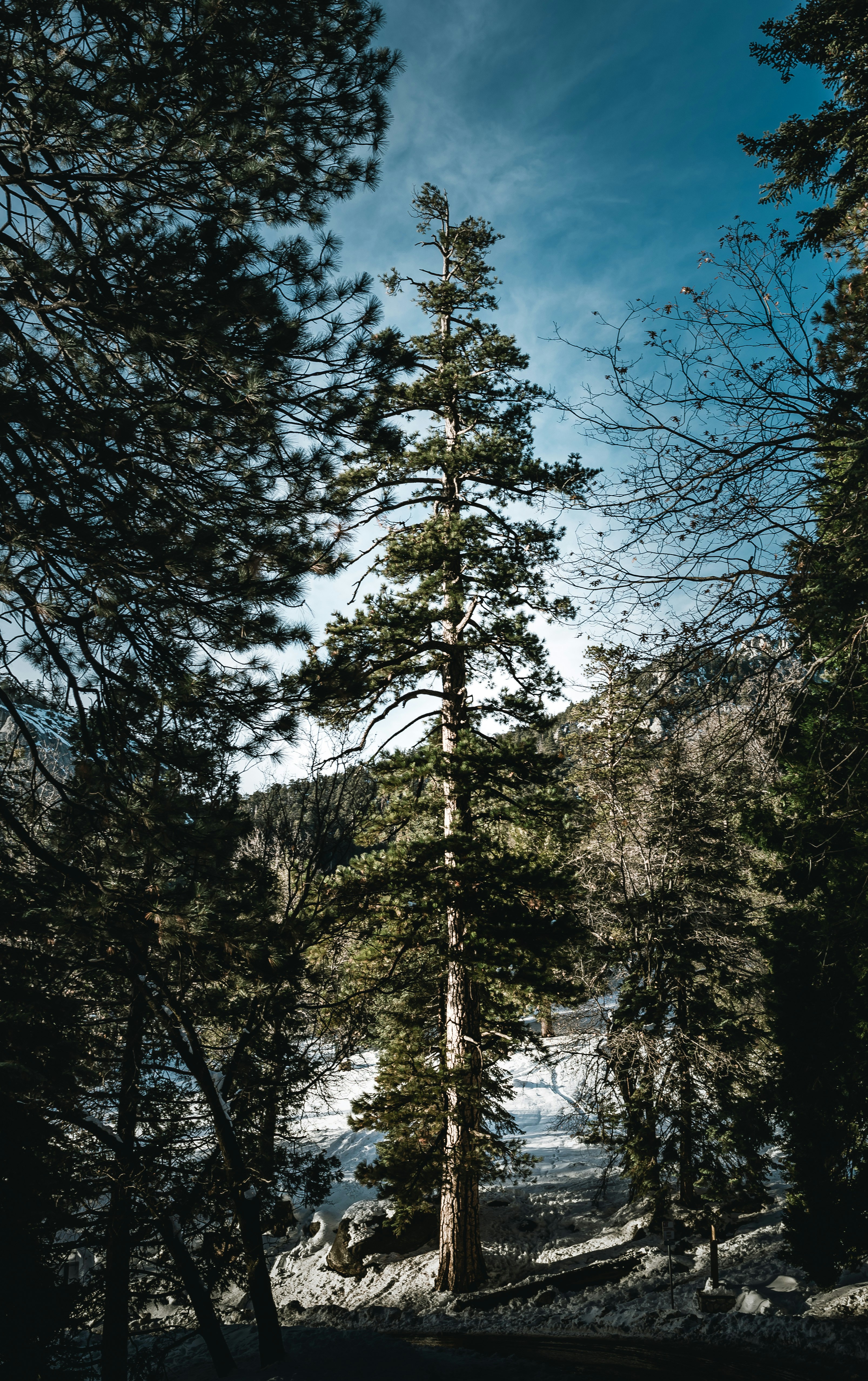 Photo by brandonleclaire