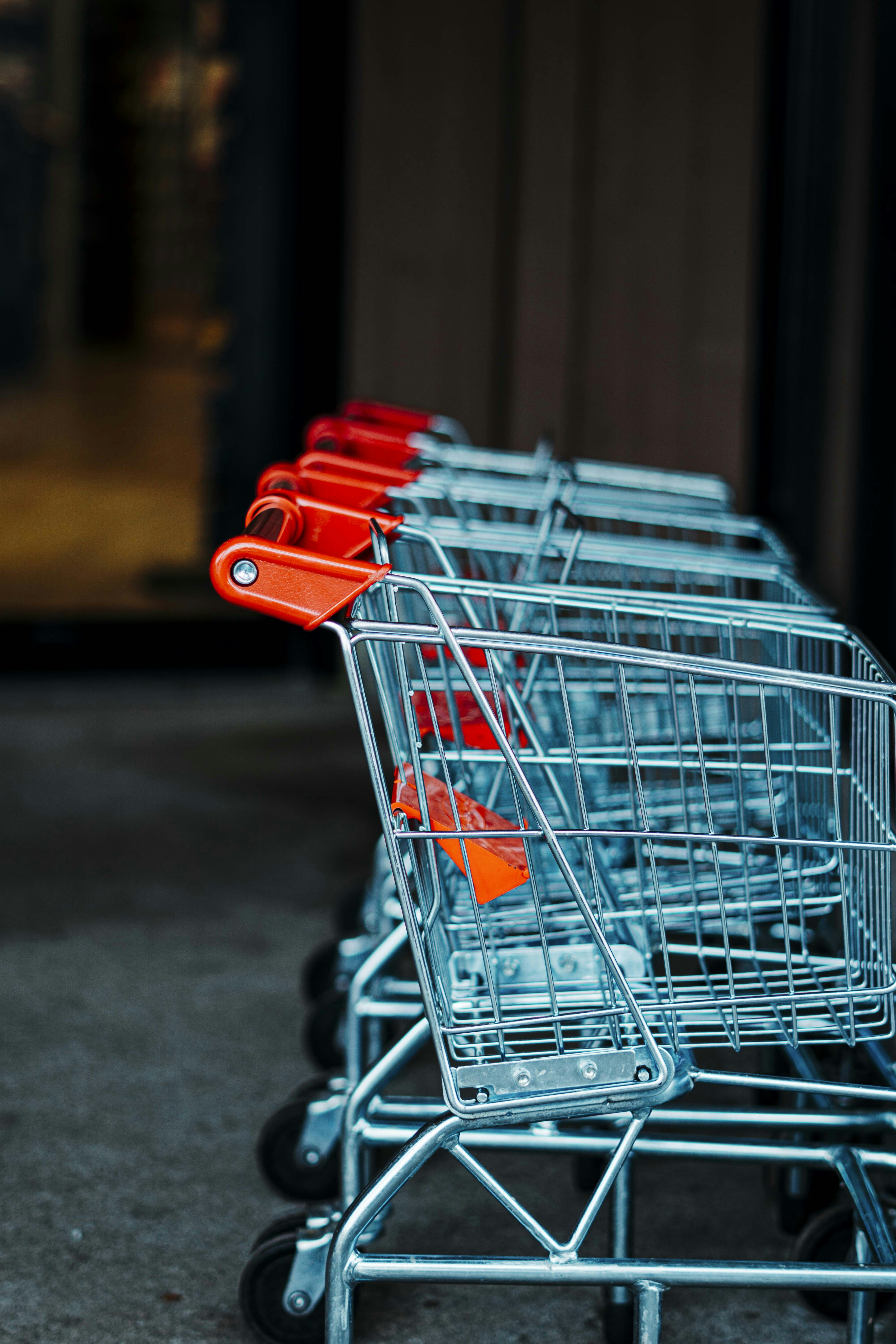 Budget-Friendly Nutrient Dense Foods to Add to Your Grocery List