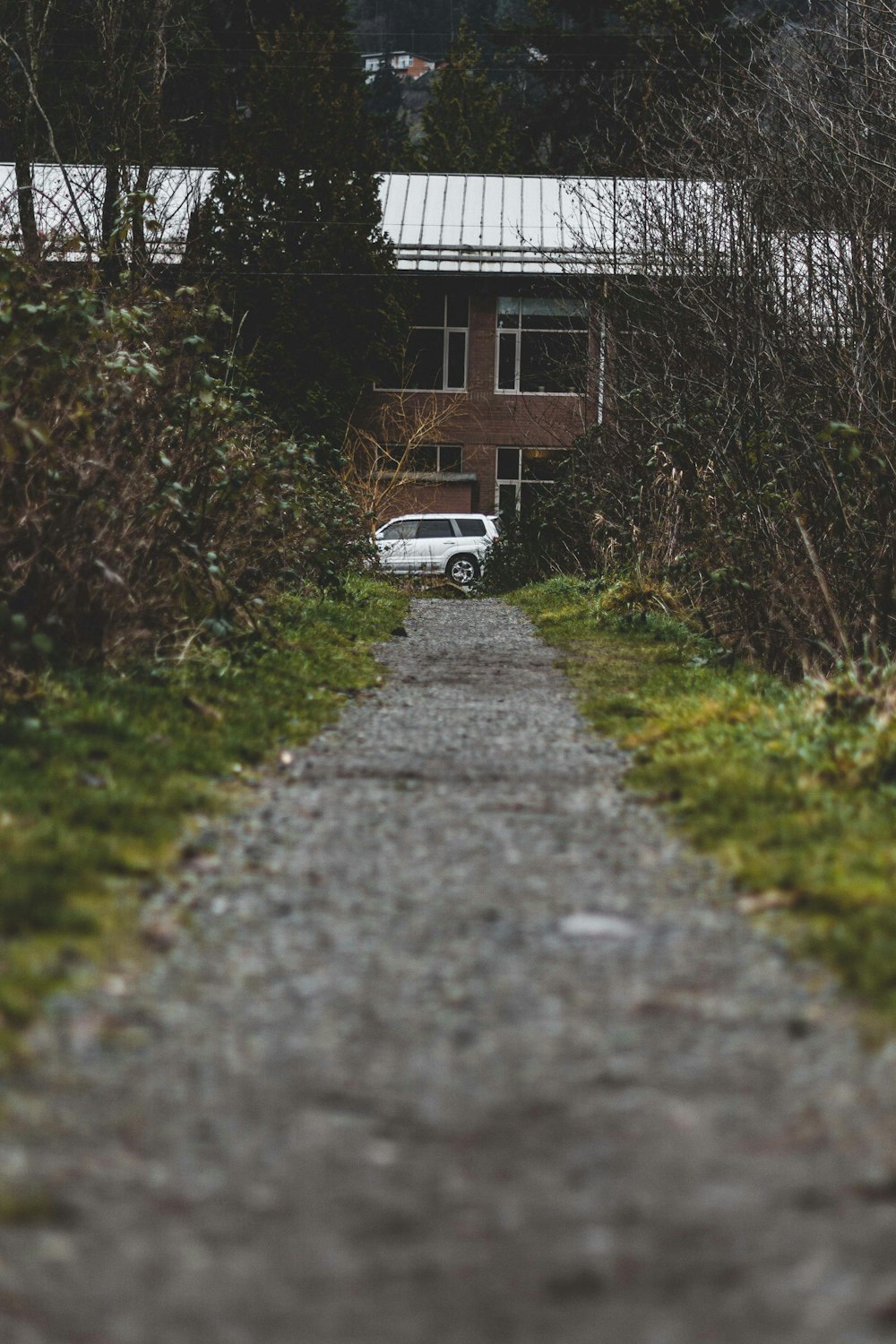 white car parked beside green grass