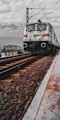 white and black train on rail tracks