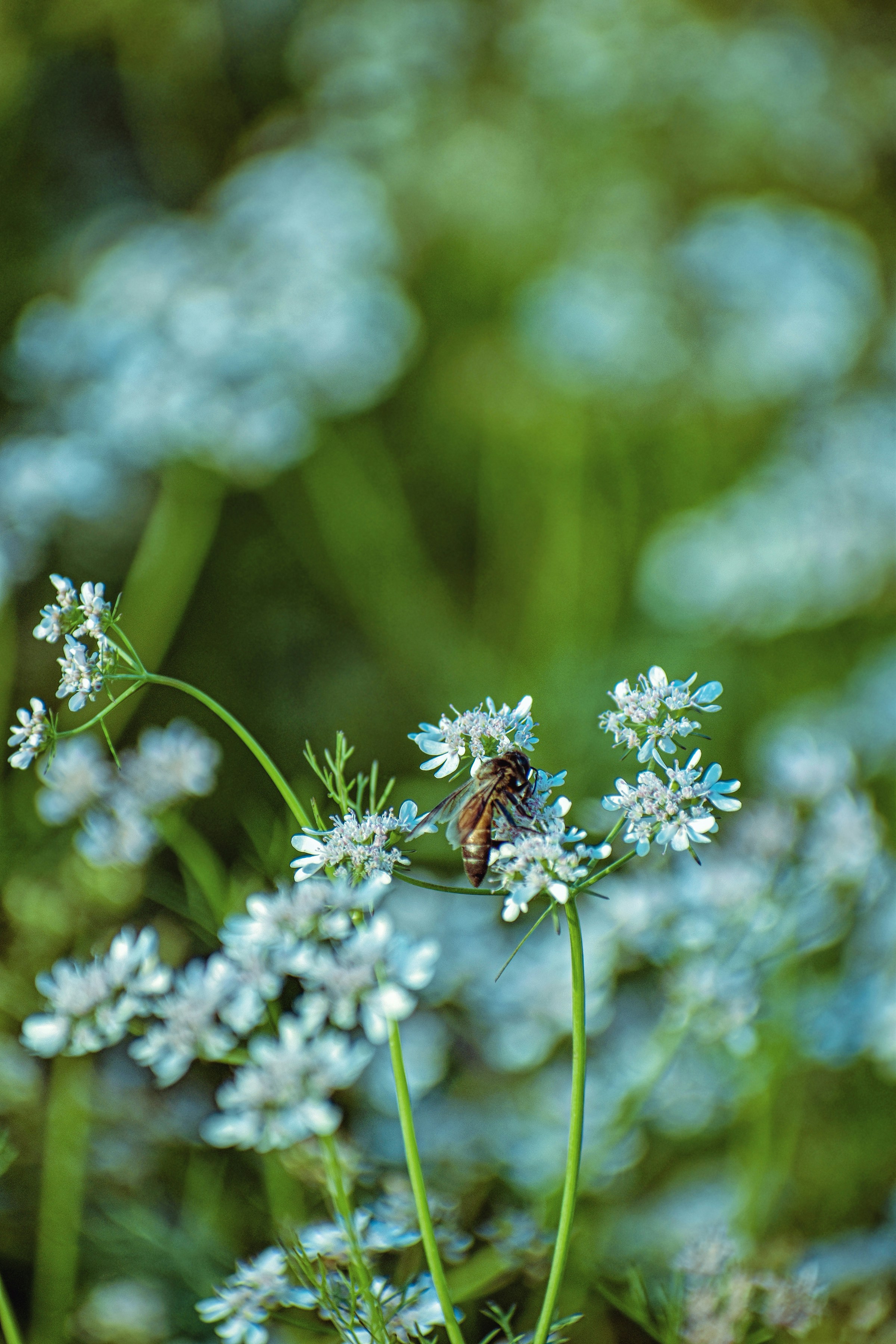 Photo by tarikulxraana