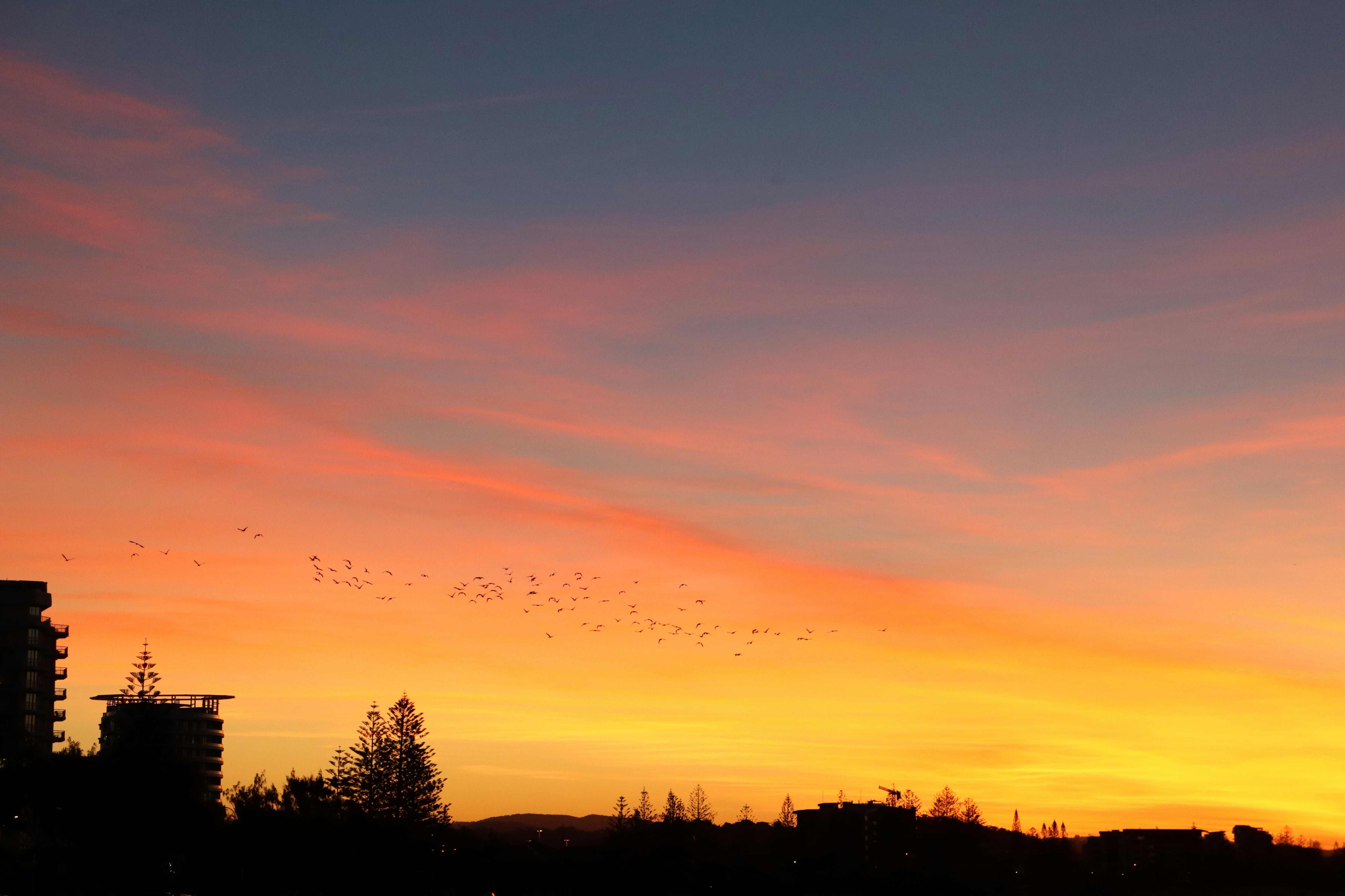 Photo by barneyrubble