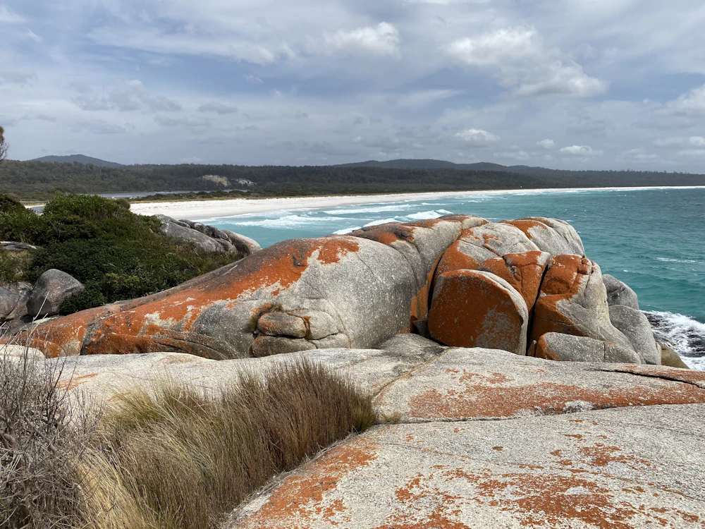 Bay of Fires, orange lichen rocks, Tasmania