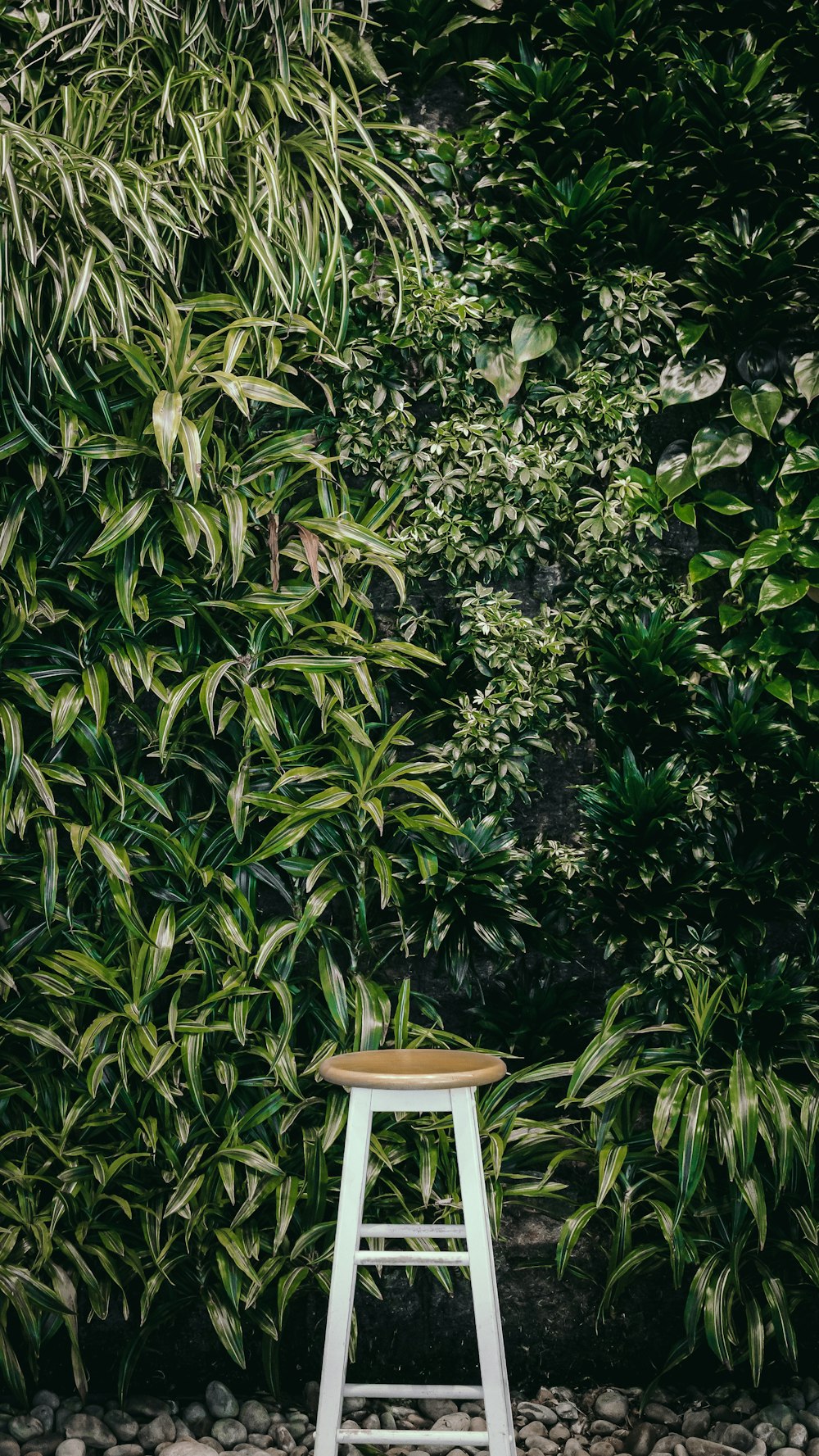 brown wooden table surrounded by green leaves