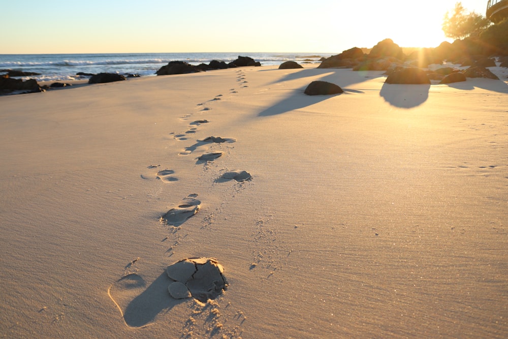 footprints on the sand during daytime