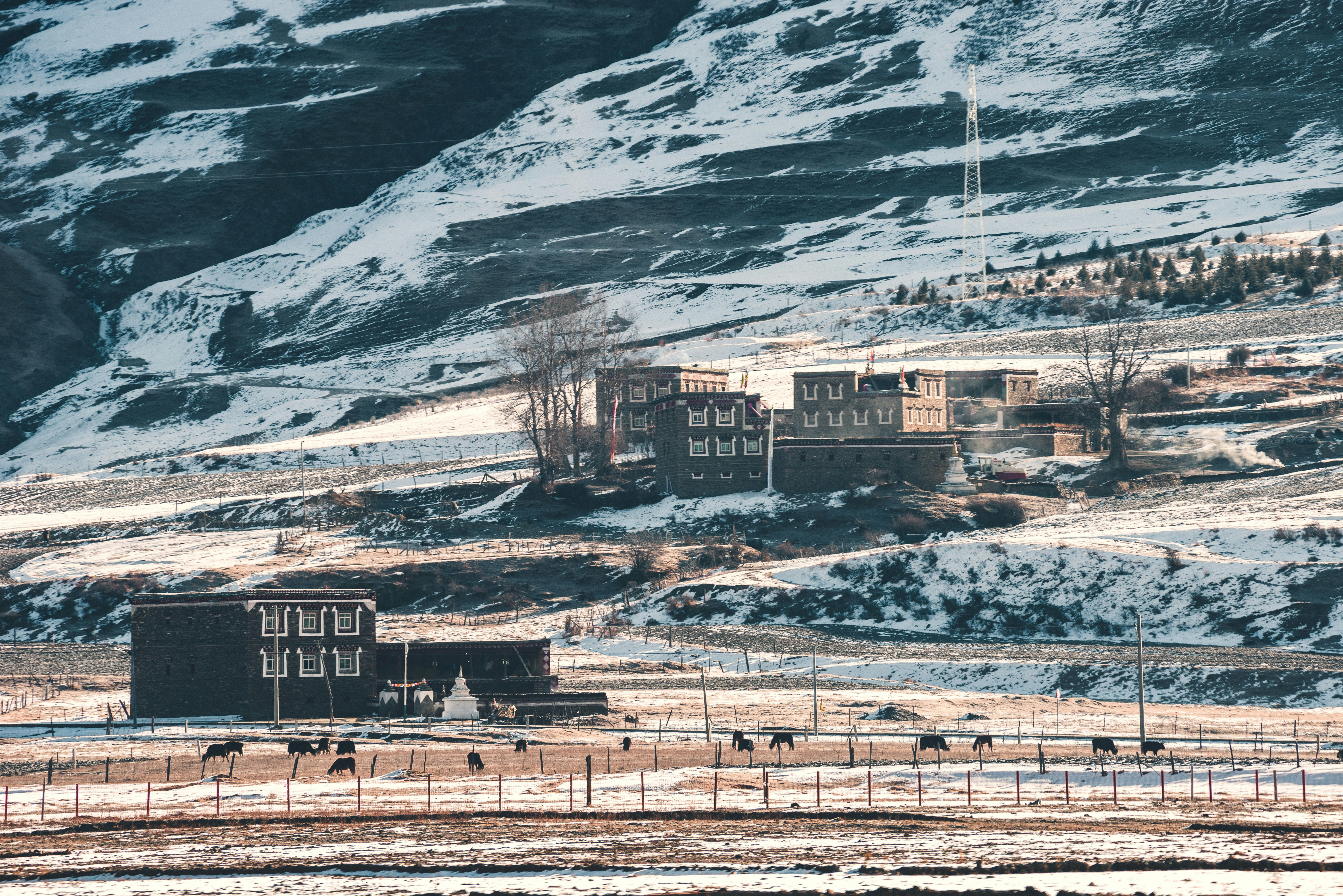 蛤？這水果竟是血管清道夫！醫生沒說的秘密，現在知道還不晚！