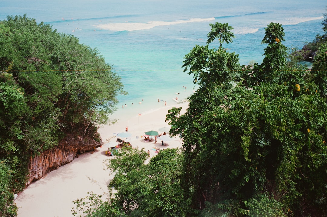 Nature reserve photo spot Bali Tabanan