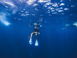 A person wearing snorkeling gear, including fins and a mask, is underwater in a vast blue ocean. Sunlight creates a shimmering effect on the surface above, casting light streaks through the water. Other divers are visible in the background, exploring the aquatic environment.