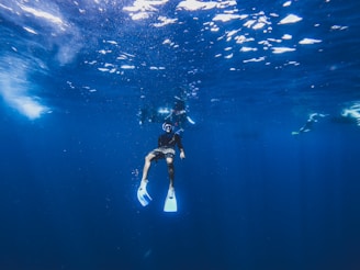 woman in black and white wetsuit under water